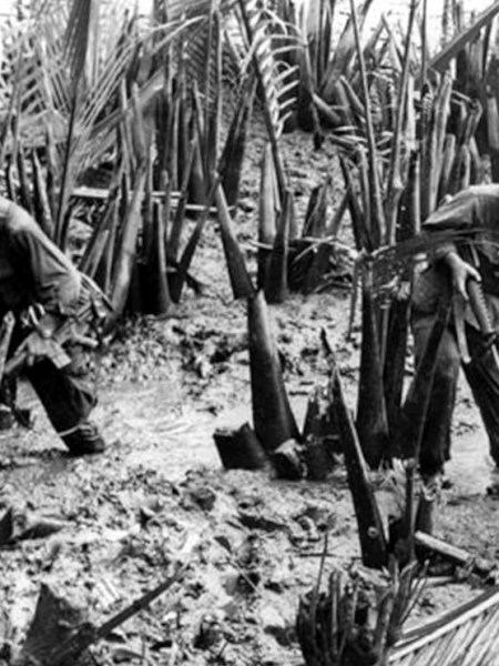 Fallen Heroes: Private Oscar F.&nbsp;Nicewander