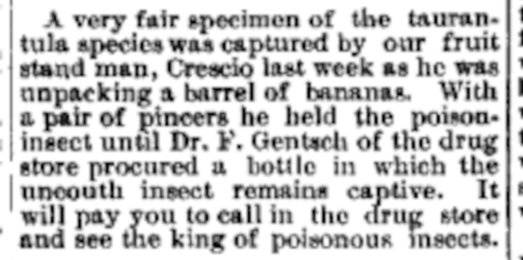 First reference to the Crescios in New Philadelphia, 18 June 1891. (Source: newspaperarchive.com)