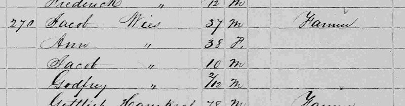 The Wise family recorded on the 1850 census for Fairfield Township, Tuscarawas County. (Source: familysearch.org)