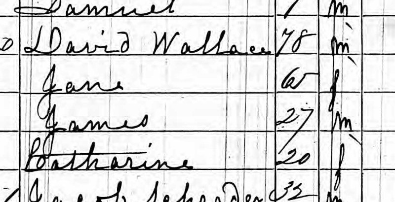 James Wallace recorded as living in his father's household in the 1860 census (Source: familysearch.org)