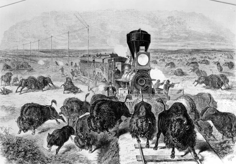 Print of men shooting buffalo along the Kansas Pacific Railroad in Colorado Territory, 1871. (Source: Denver Public Library; accessed on https://dp.la/)