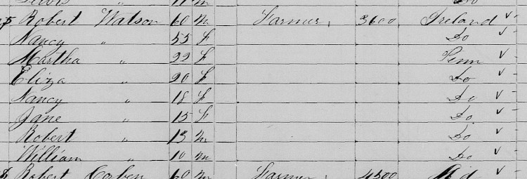 The Watson Family recorded in the 1850 Census for Adams Township, Coshocton County, Ohio. (Source: familysearch.org)