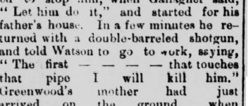 A excerpt from the article from the Marysville, California newspaper detailing the altercation at Brown's Flat between Otis Greenwood and William Watson, June 1884. (Source: newspaperarchive.com)