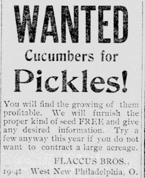 Flaccus Brothers advertisement in the New Philadelphia newspaper, May 1902. (Source: newspaperarchive.com)