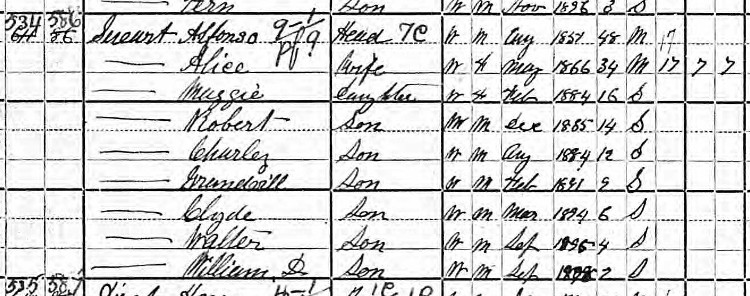 The Stewart family recorded in the 1900 Census for New Philadelphia. (Source: familysearch.org)