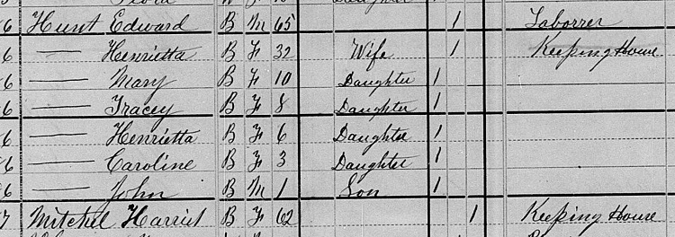 Harriet Mitchell and her daughter Henrietta's family, recorded on the 1880 Census for New Philadelphia, Ohio. (Source: familysearch.org)