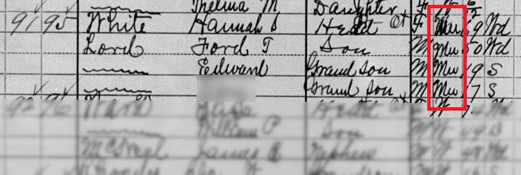 The Ford family recorded on the 1910 Census with the letters "Mu" for Mulatto (an archaic term for mixed ethnicity). (Source: familysearch.org)