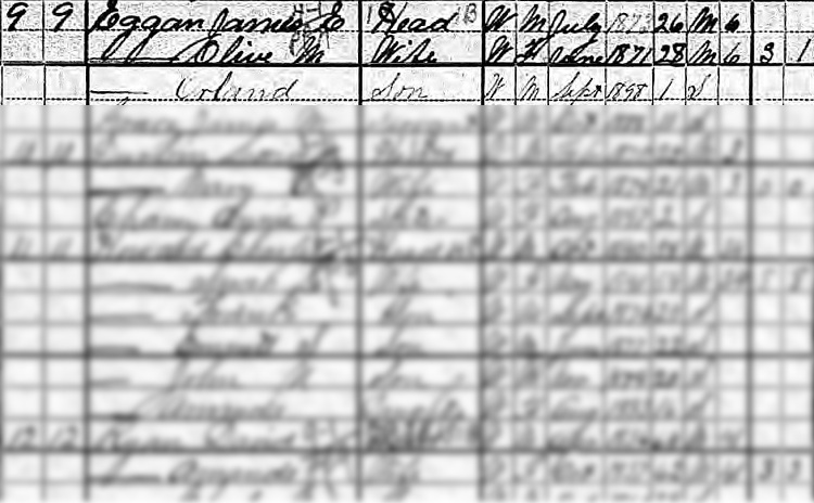 The Eggan Family recorded on the 1900 census for Tuscarawas County, Ohio. (Source: familysearch.org)