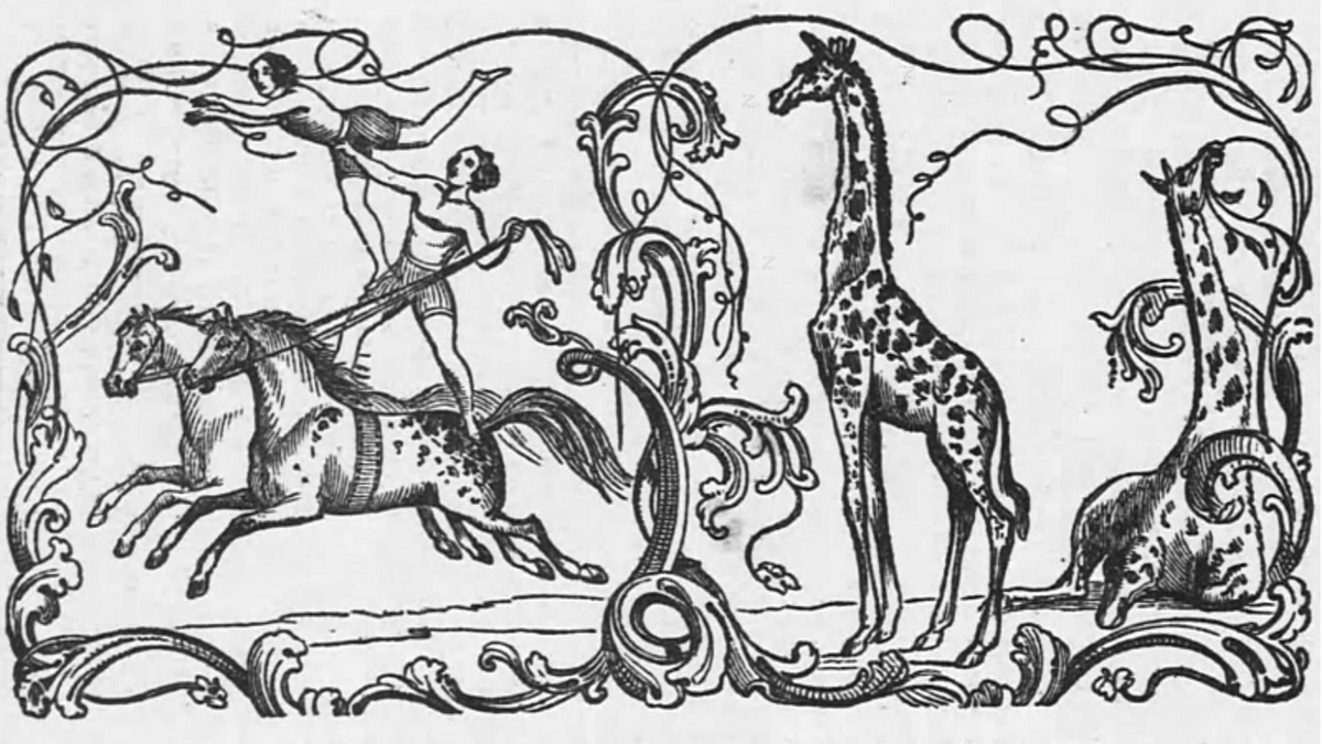 Image that appeared in the advertisement for the June, Titus & Angevine Circus that appeared in the June 1842 issue of New Philadelphia, Ohio's newspaper. (Source: newspaperarchive.com)