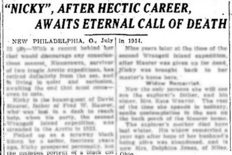 Massillon, Ohio newspaper story reporting the death of Fred Maurer's cat Nicky, July 1926. (Source: newspaperarchive.com)