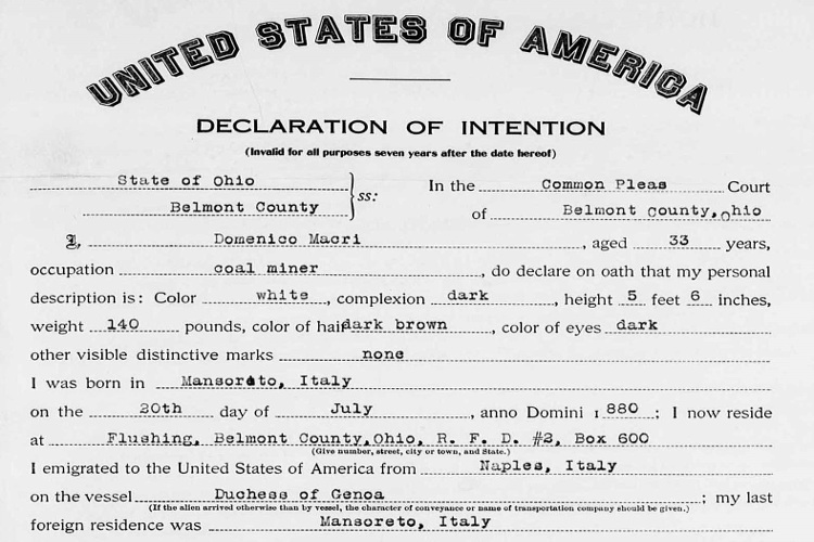 Domenico Macri's declaration of intention to file for citizenship, July 1913. (Source: familysearch.org)