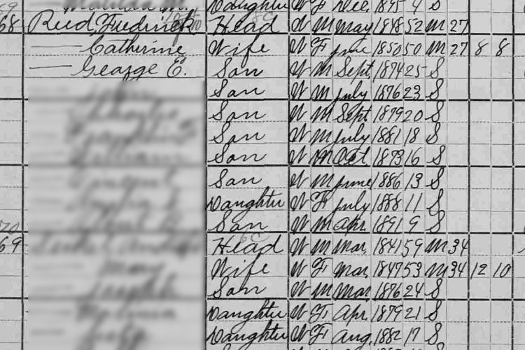 The Reed family recorded in the 1900 census record for Dover Township. (Source: familysearch.org)