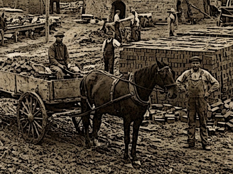 Fight of His Life: The 1915 Trial of Frank&nbsp;Rose