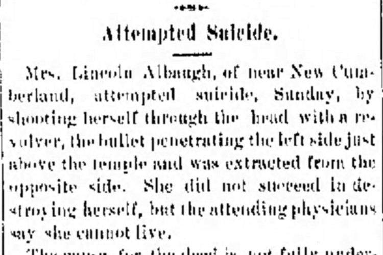 New Philadelphia, Ohio newspaper article reporting on Belle's alleged suicide, November 1887. (Source: newspapers.com)