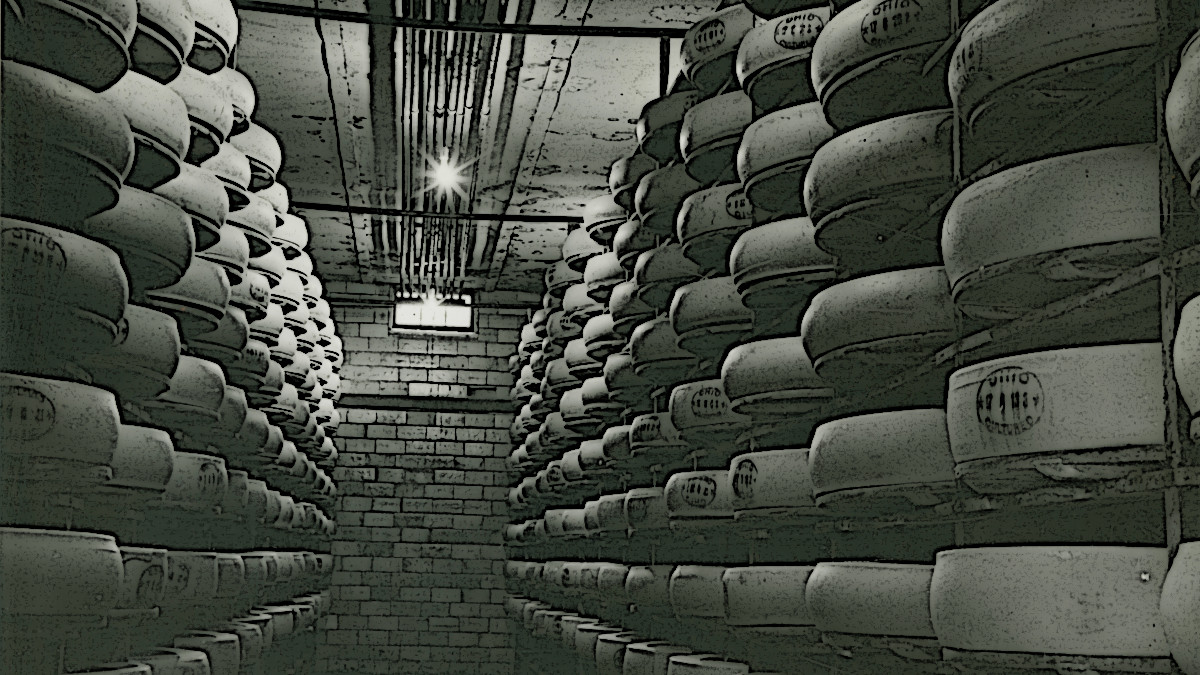 Image of swiss cheese wheels in storage room, c. 1930s. (Source: ohiomemory.org)