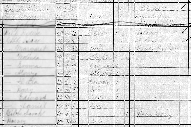 William and Mary Zeigler recorded on the 1880 census for Dover, Ohio. (Source: familysearch.org)