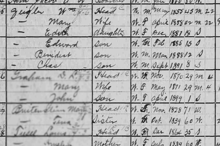 The Zeigler family recorded on the 1900 census for Dover, Ohio. (Source: familysearch.org)
